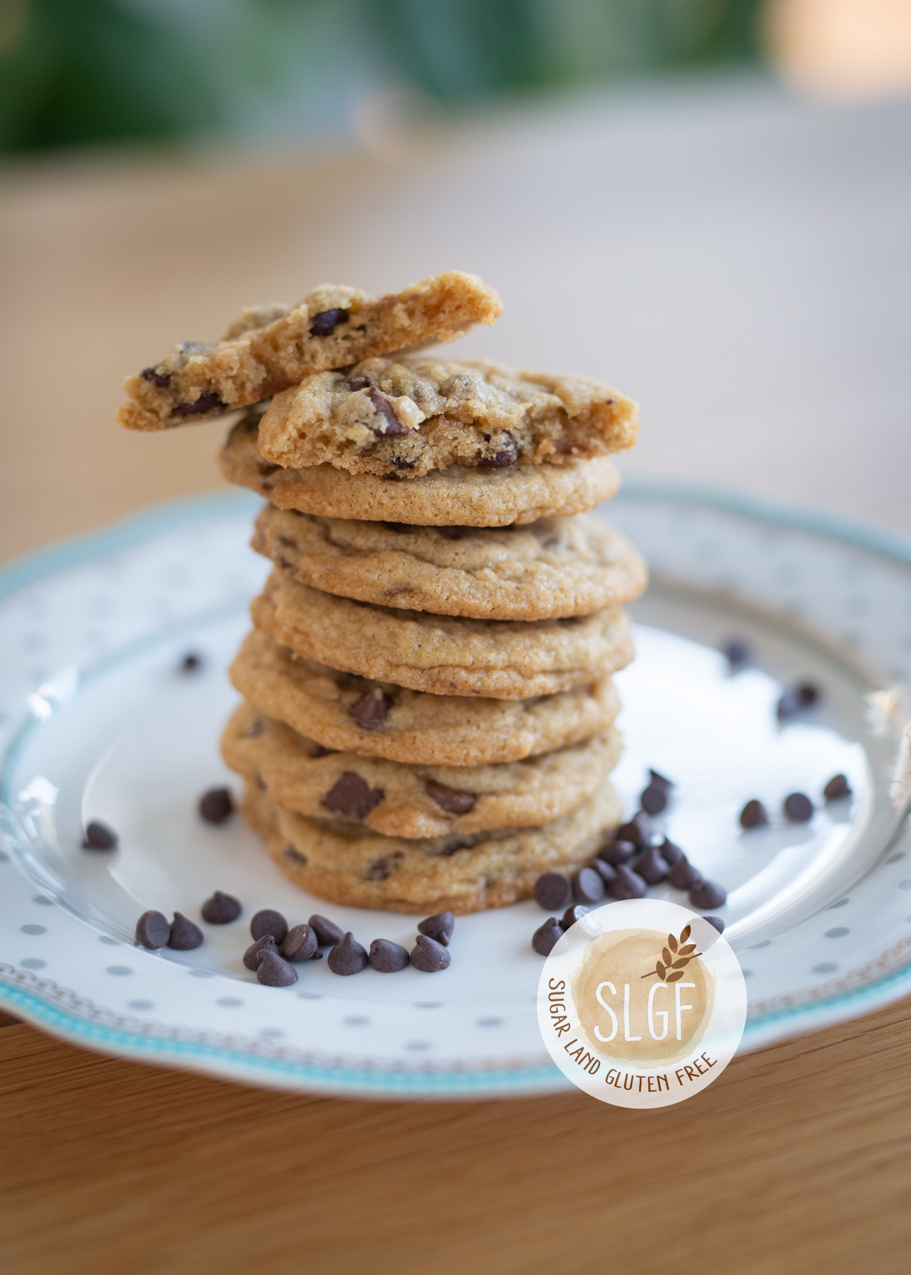 Gluten Free Coconut chocolate cookies